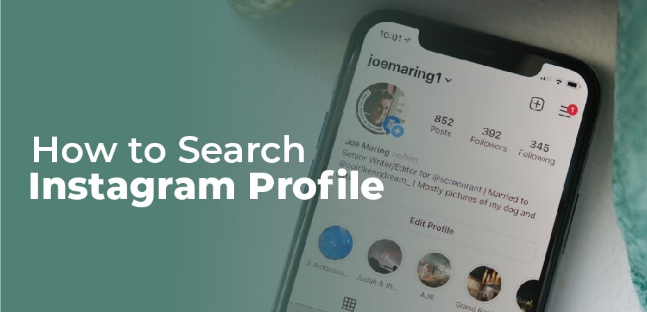 Instagram Search Profile