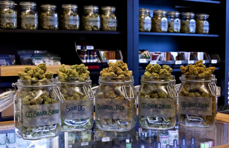 Emerging Realms of Modern Cannabis Dispensaries